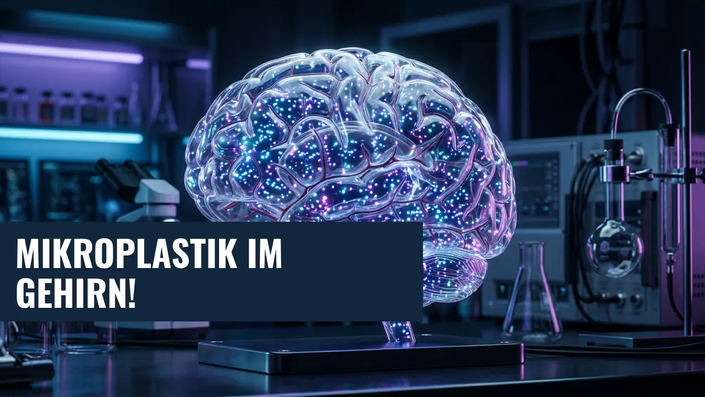 Mikroplastik in Hirntumoren: Neue Studie enthüllt Gefahr im Gehirn