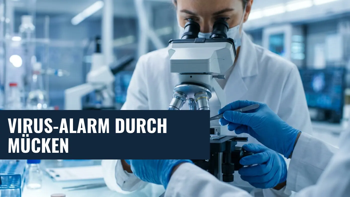 West-Nil-Virus in Rheinland-Pfalz: Erster lokaler Fall bestätigt