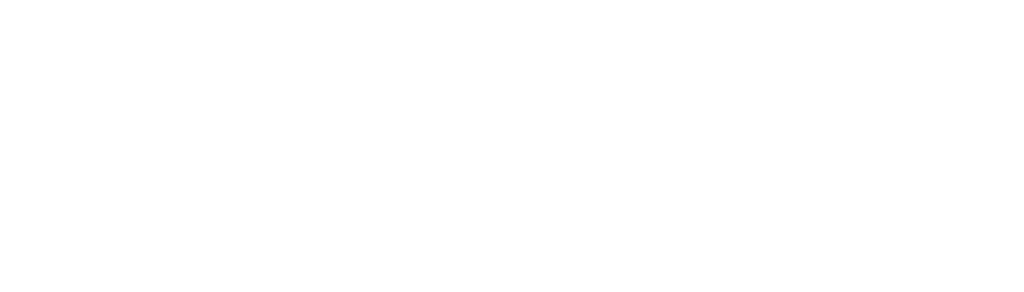 Intensiv-Versorgung Südostniedersachsen Logo