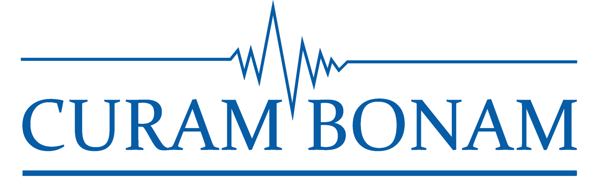 Curam Bonam GmbH Logo