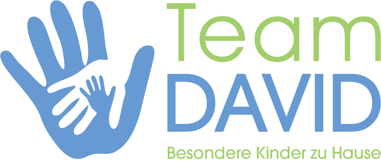 Team DAVID GmbH Logo