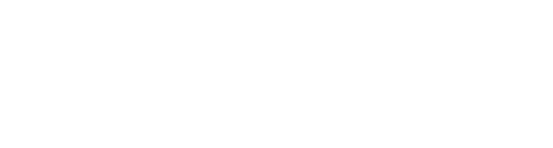 Brina Pflege GmbH Ambulanter Pflegedienst Logo