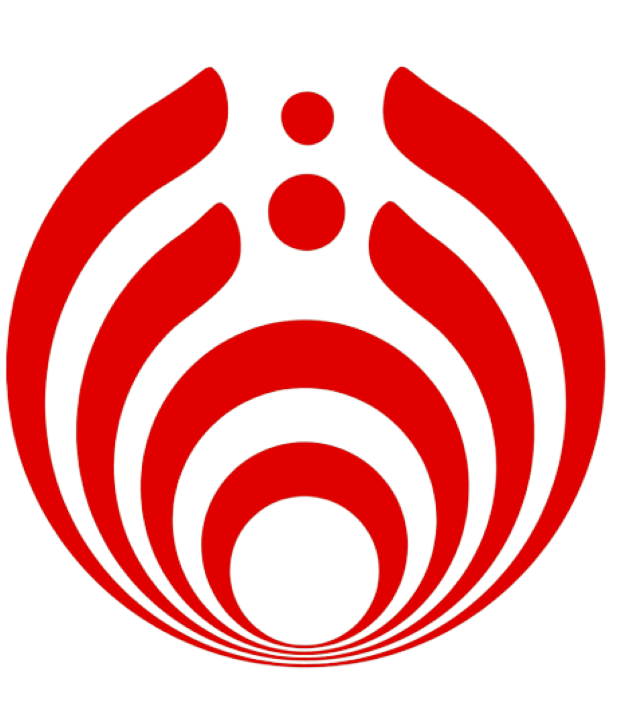 Vis e Virtus Logo