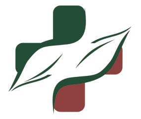 Pflegedienst Busch Inhaberin: Heike Falk Logo