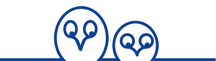Pflegeteam Eule GmbH Logo