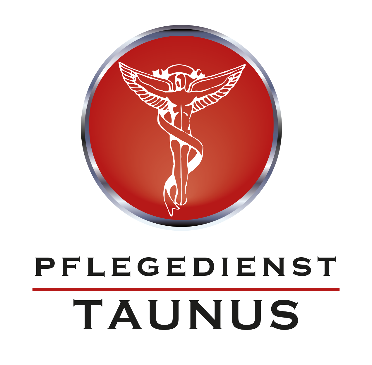 Pflegedienst Taunus Ivanka Kajinic Logo
