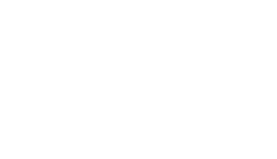 PROMEDICUS PFLEGEDIENST Logo