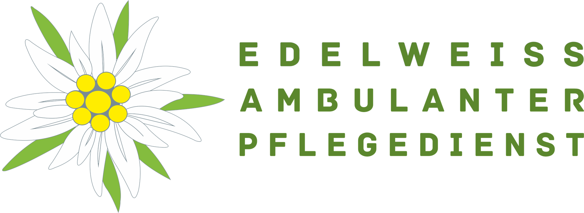 Edelweiss Ambulanter Pflegedienst GmbH Logo