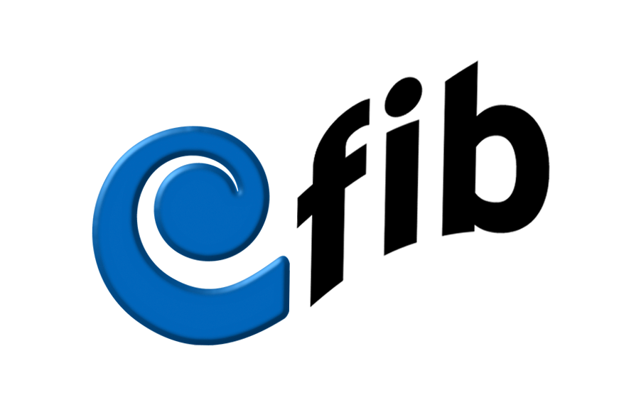 fib Verein zur Förderung der Inklusion behinderter Menschen e. V. Logo