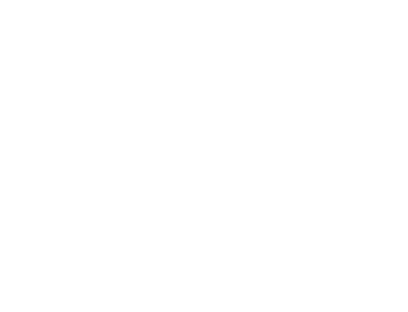 Aries Pflegedienst Logo