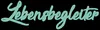Logo von Lebensbegleiter gemeinnützige UG (haftungsbeschränkt)