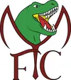 Logo von FMC Alltagshilfen