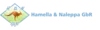 Logo von Ratisbona Seniorendienste GmbH - Alltagsbegleitung