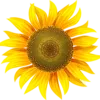Logo von Haus Waldruh GmbH