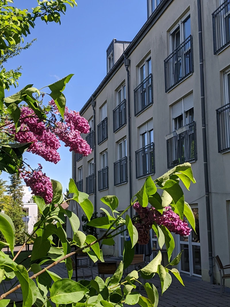 Diakoniestation Worzeldorf – Bild 4