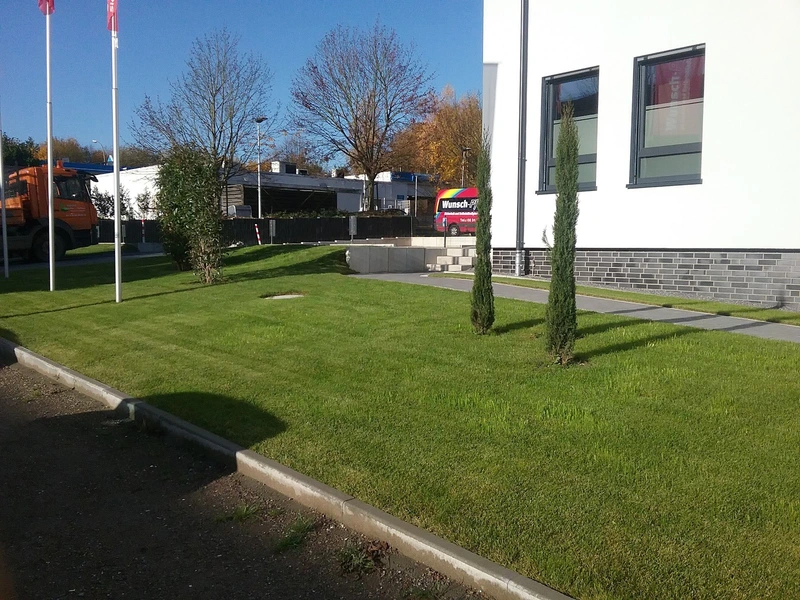 Wunsch-Pflege – Bild 4