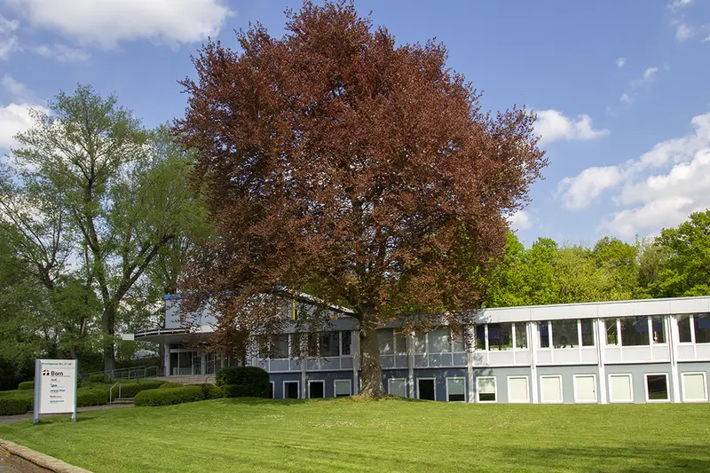 IPO Intensiv-Pflege-Organisation – Bild 1