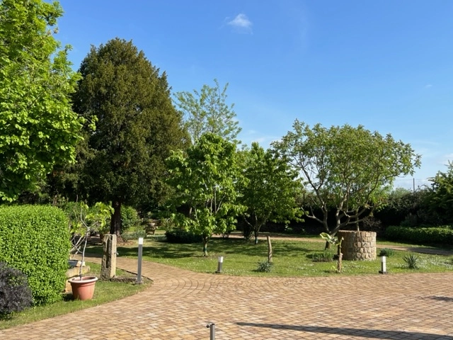 Häusliche Alten- und Krankenpflege Fatima Krumpfe – Bild 2