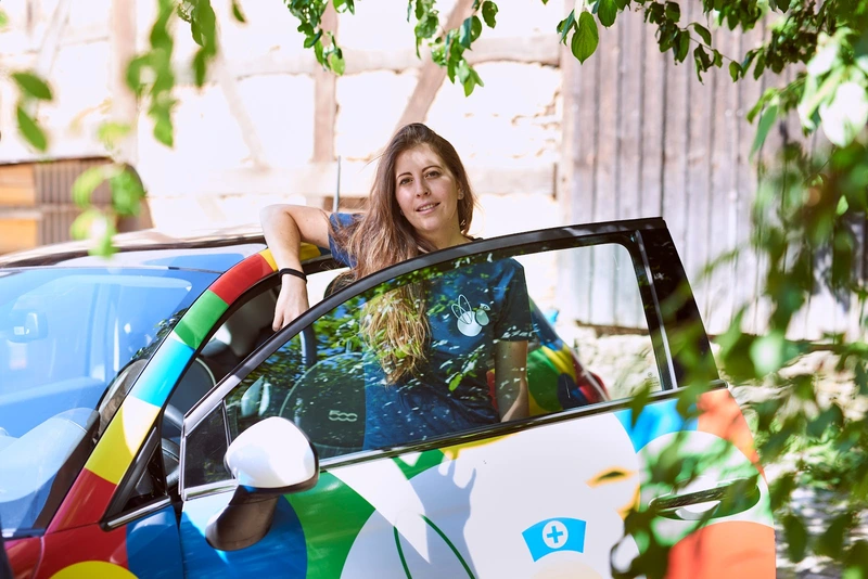 Bunte Hummeln Vetzberg – Bild 1