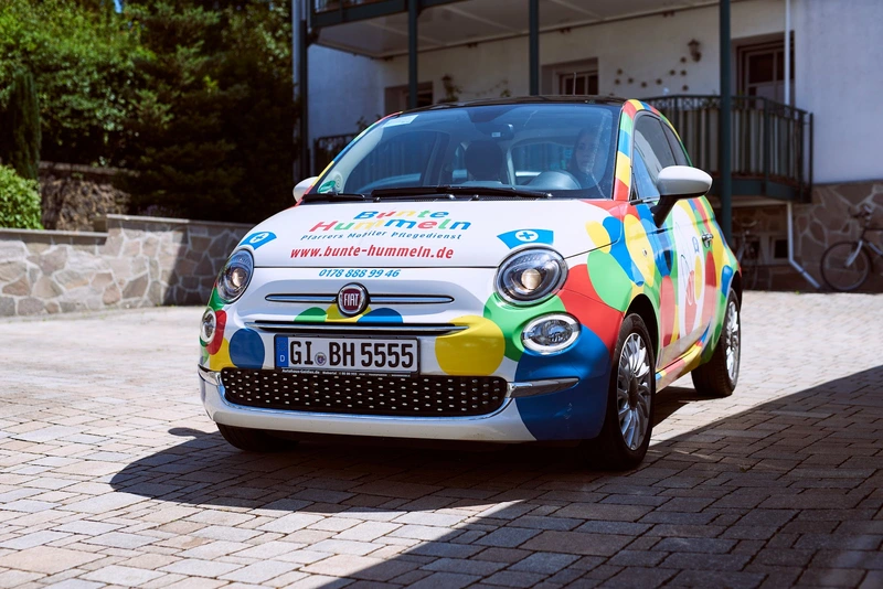 Bunte Hummeln Vetzberg – Bild 3