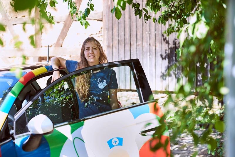 Bunte Hummeln Vetzberg – Bild 4