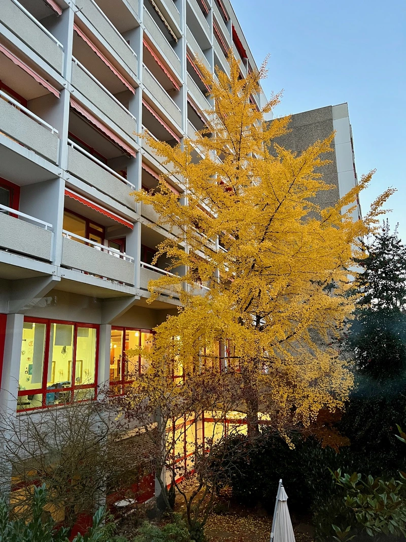 Augustinum Pflegedienst – Bild 4