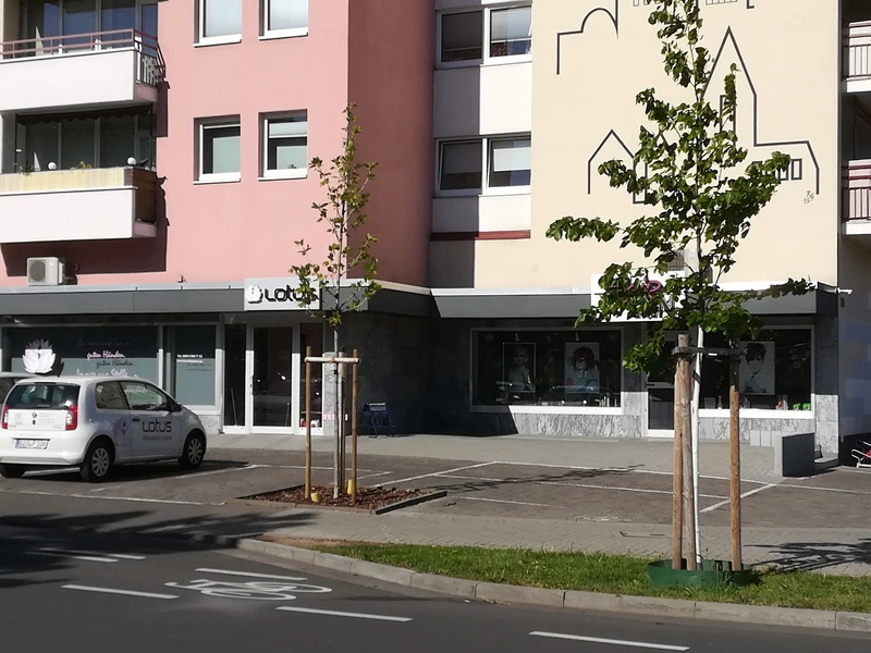 Lotus Pflegedienst – Bild 2