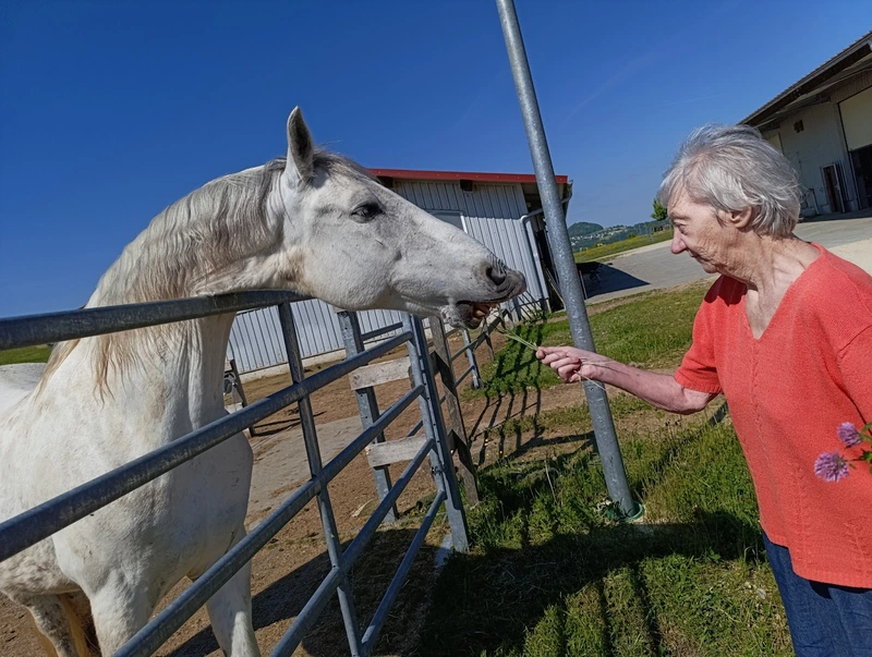 Home Care - Pflege Zuhause – Bild 1