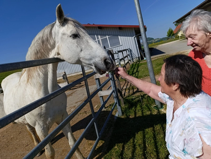 Home Care - Pflege Zuhause – Bild 4