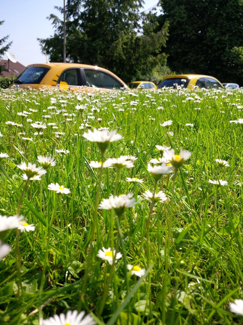 Pflegedienst Strobel – Bild 1