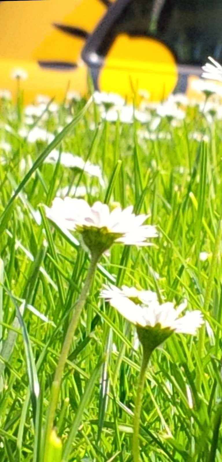 Pflegedienst Strobel – Bild 3