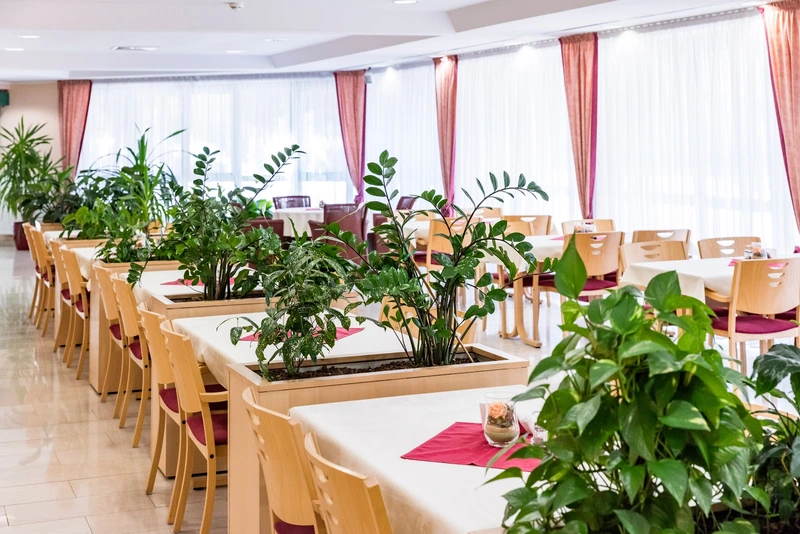 AlexA pro domo Pirna – Bild 5