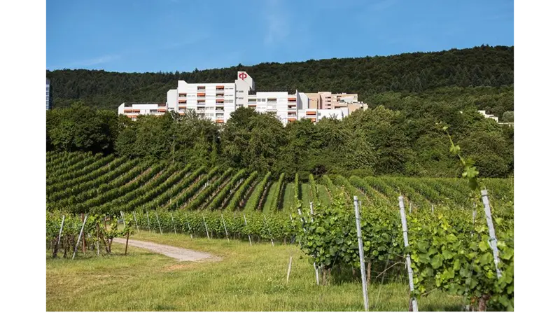 Augustinum Pflege gGmbH Ambulanter Pflegedienst – Bild 1