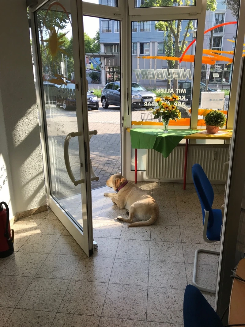 V. Radisch-Neubert Alten- und Krankenpflege – Bild 3