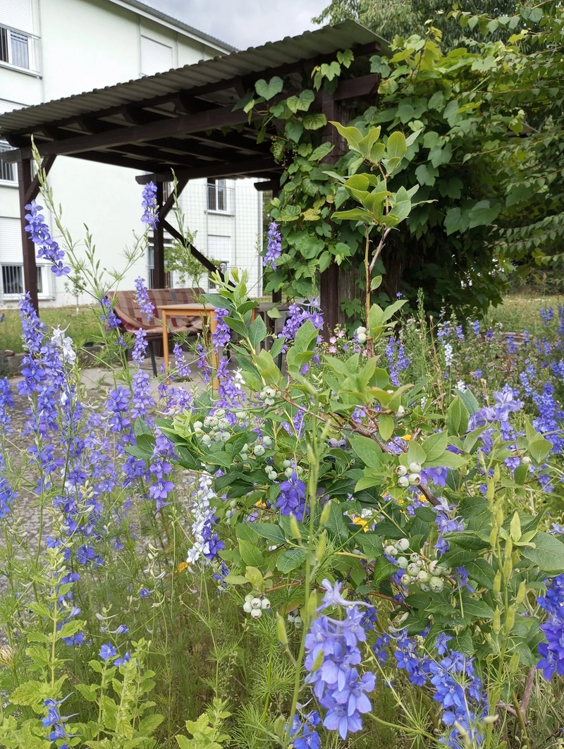 DRK Sozialstation Königswartha – Bild 3