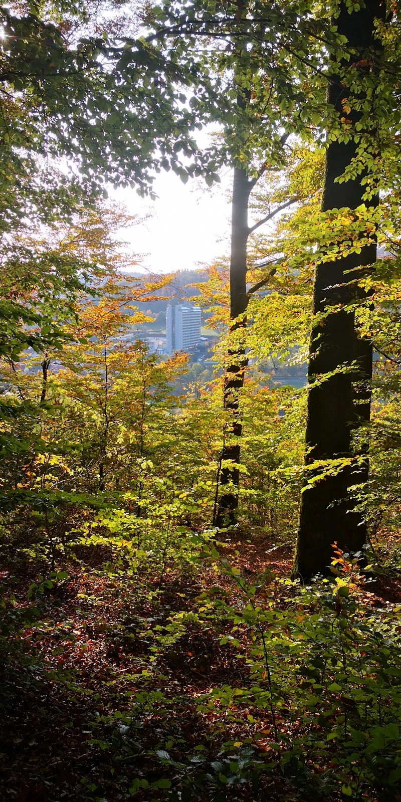 Ambulanter Pflegedienst Kurstift Bad Brückenau e. V. – Bild 3