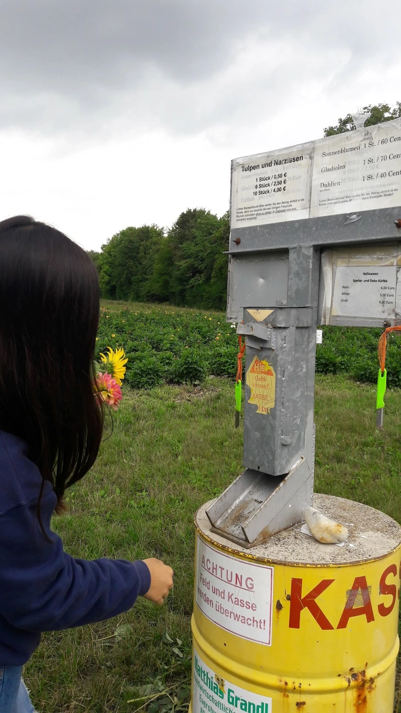 MÜNCHENSTIFT Ambulanter Dienst Hans-Sieber-Haus – Bild 5