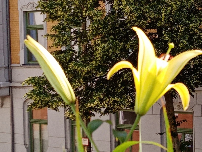 Evangelische Sozialstation Chemnitz – Bild 4