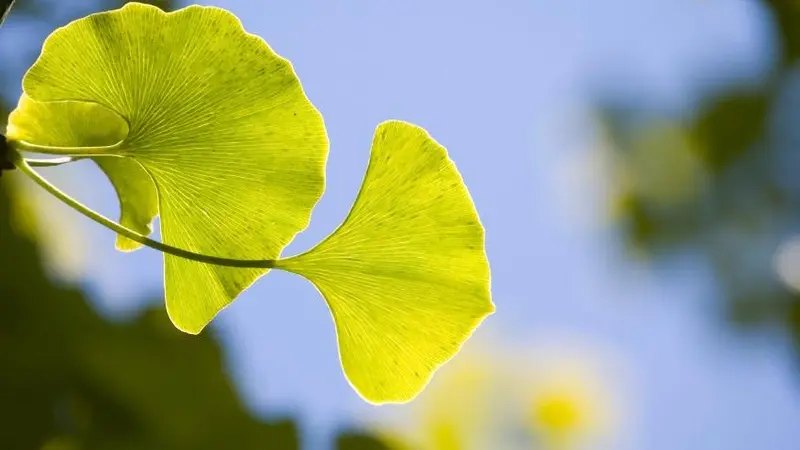 Kleiner Bär Care – Bild 1