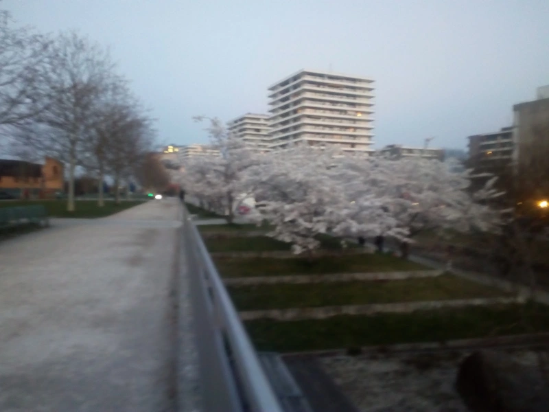 Pfennigparade Ambulante Dienste – Bild 5