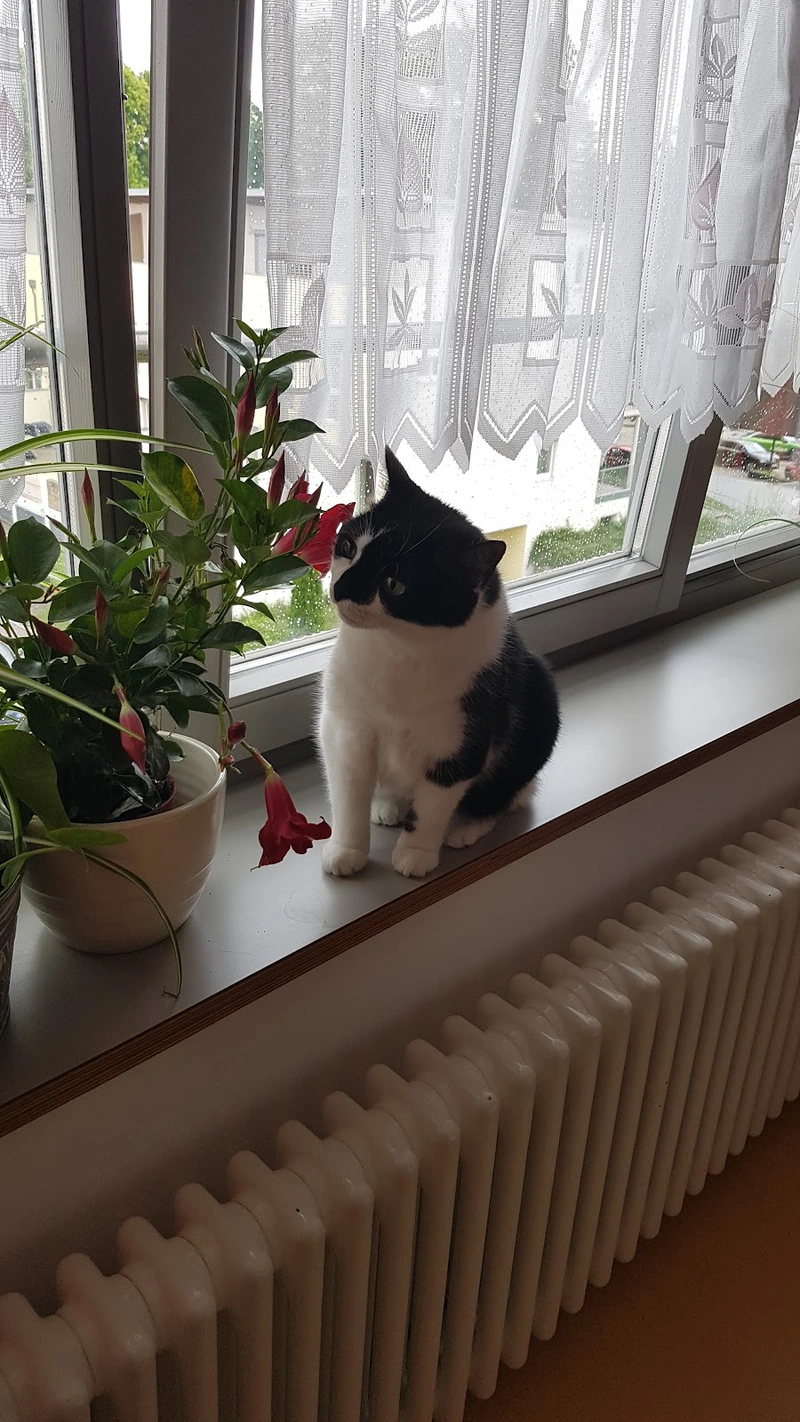 Marienstift Altenhilfe Ambulanter Dienst – Bild 4