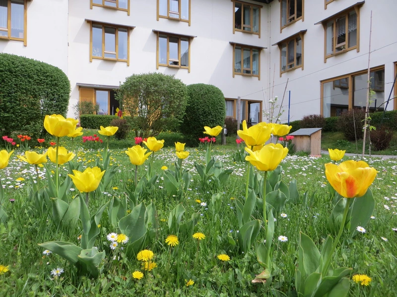 SofiA ambulante Pflege – Bild 3