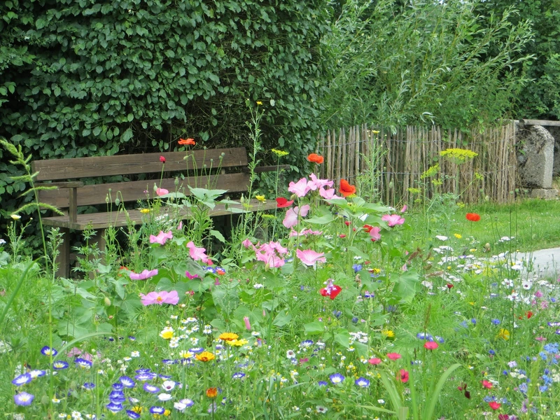 SofiA ambulante Pflege – Bild 4