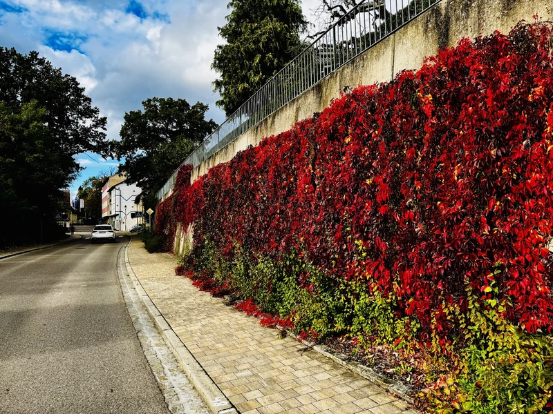 Diakoneo Ambulanter Dienst Pleinfeld – Bild 1