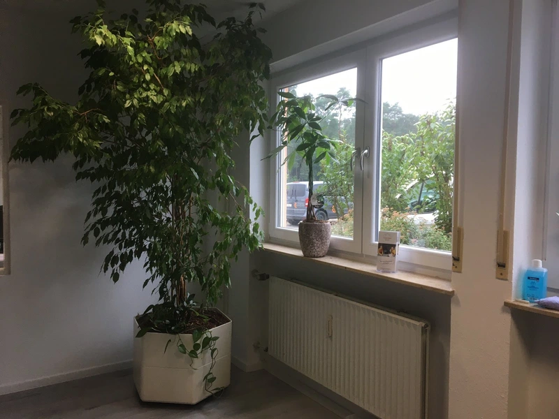 CC Care-Casa – Bild 5