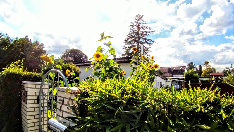 Ambulanter Pflegedienst SeniorenZentrum Krefeld – Bild 1