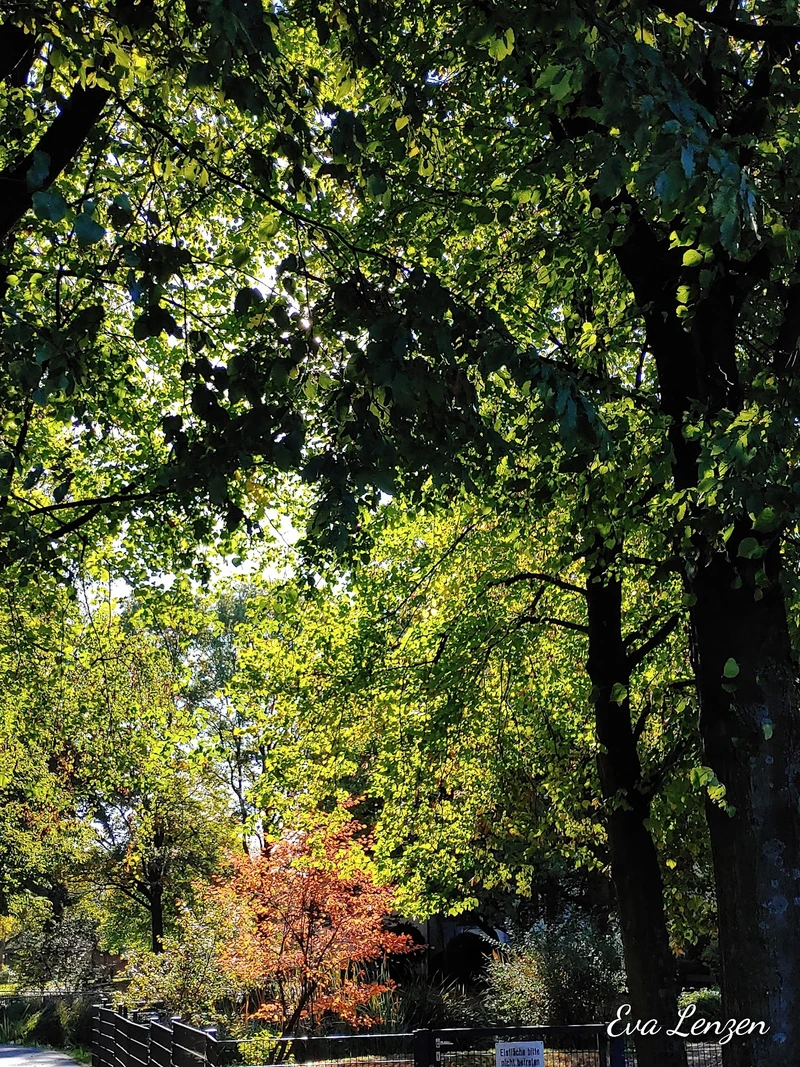 Ambulanter Pflegedienst SeniorenZentrum Krefeld – Bild 3