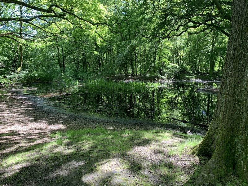 Bettina von Arnim Haus – Bild 1