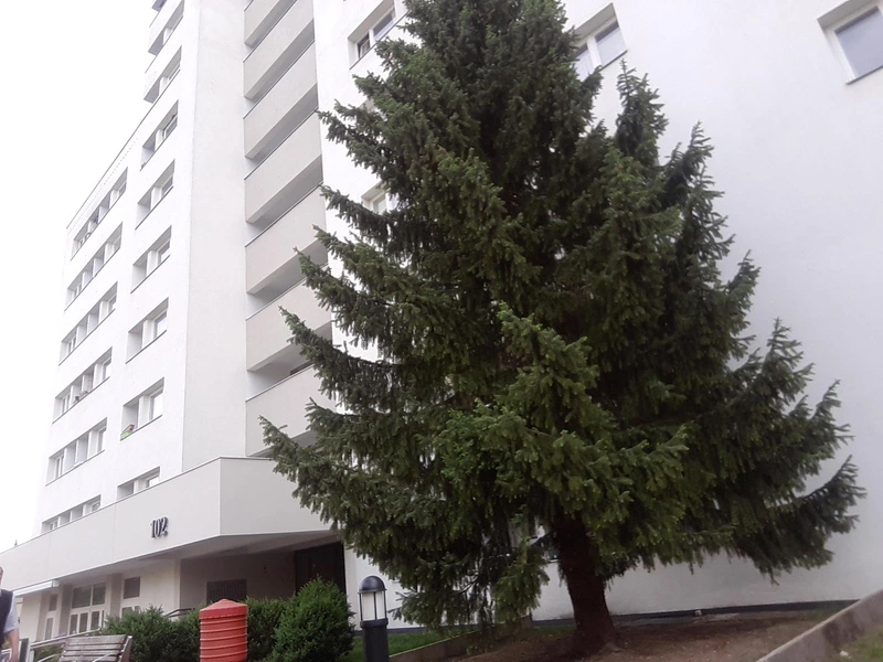 Medizin Mobil GmbH – Bild 2