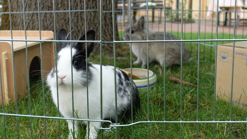 DRK Altenpflegeheim Pieschen – Bild 4